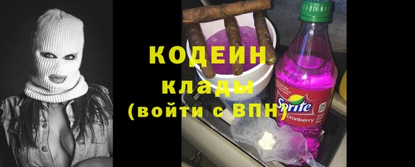 ПСИЛОЦИБИНОВЫЕ ГРИБЫ Вяземский